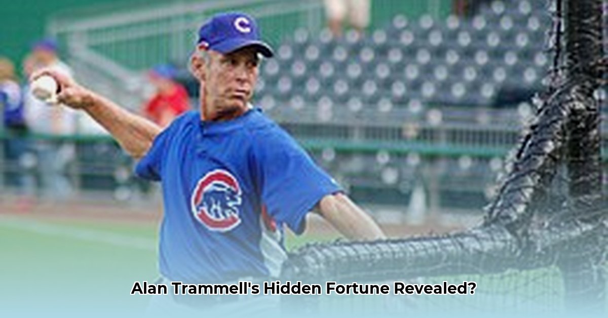 alan-trammell-net-worth